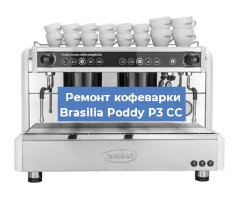 Чистка кофемашины Brasilia Poddy P3 CC от кофейных масел в Челябинске